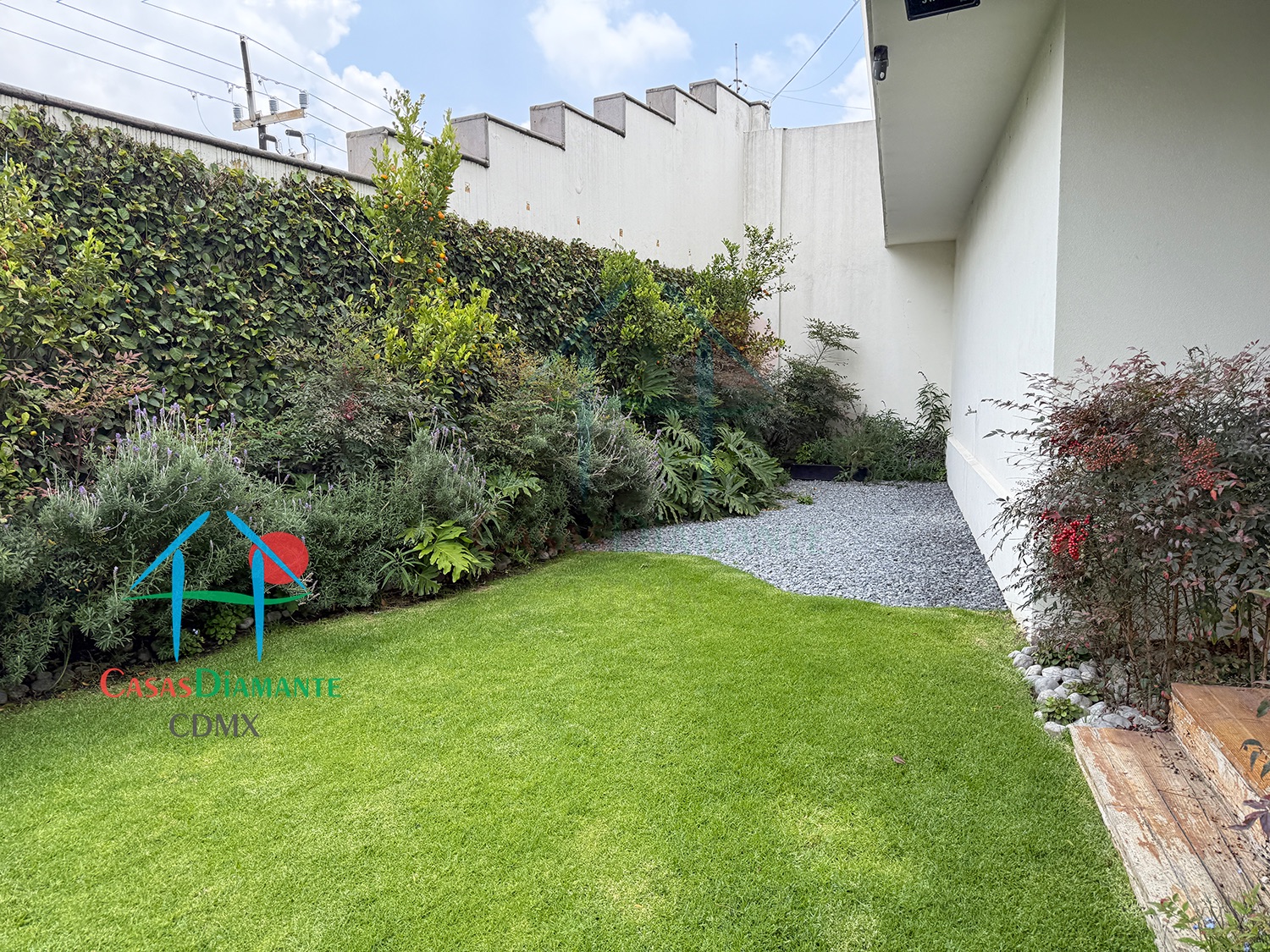 Jardines del Pedregal Casa Árbol B - Jardín 9